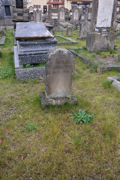 Stèle de Bermanski Samuel