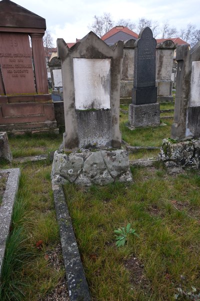 Tombstone of Koch -