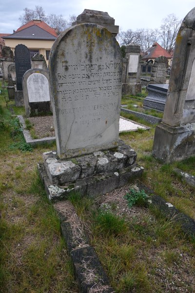 Stèle de Liebeskind Gertrude