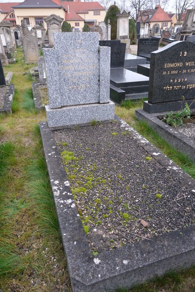 Tombstone of Glaser Yvonne