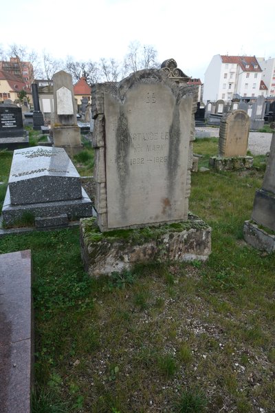 Estela de Lévy Constance