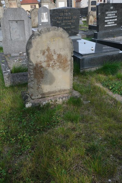 Stèle de Haenel Albert