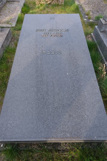 Grafsteen van Miropolski Reine