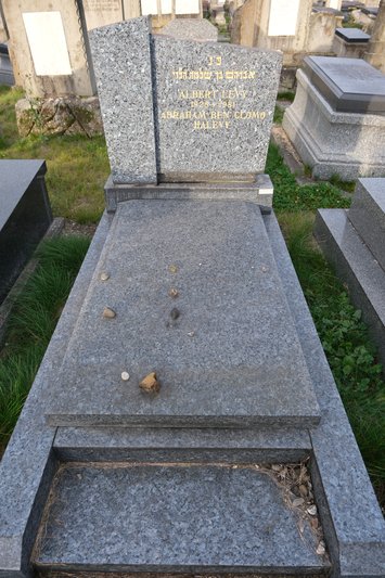 Levy Albert का स्मारक
