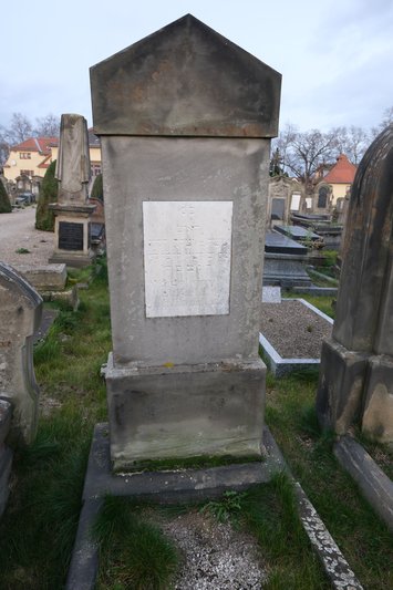 Estela de Lévy Moïse