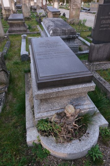 Weichsel Charles fejfája