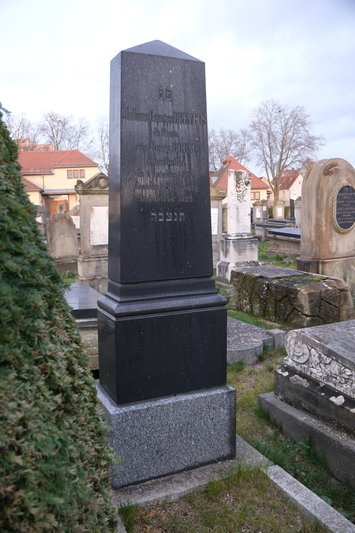 Grabstein von Dreyfus Renée