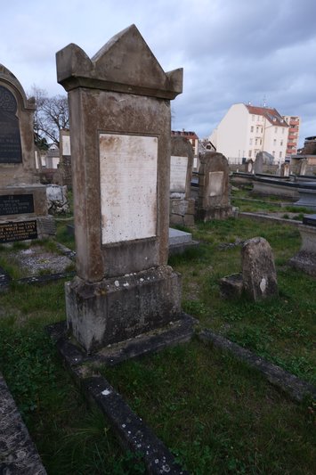 Estela de Rosenberg Schaja