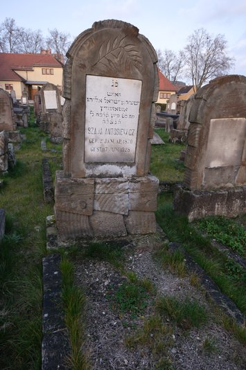 מַצֵּבה פון Antosiewicz Szaja