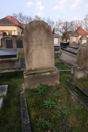 شاهدة قبر Heymann Mathilde