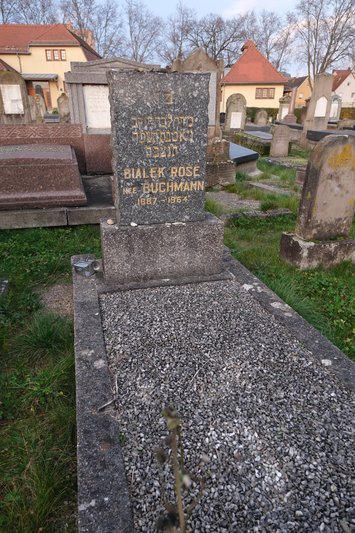 Grabstein von Bialek Rose