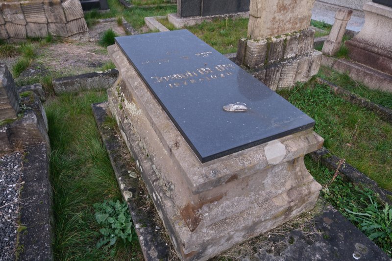 شاهدة قبر Blum Joseph