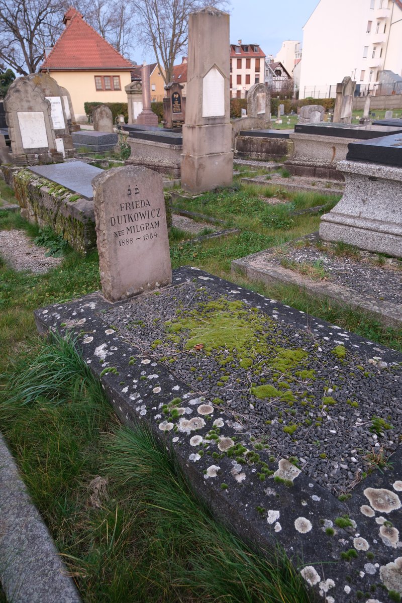 מצבת Dutkowicz Frieda