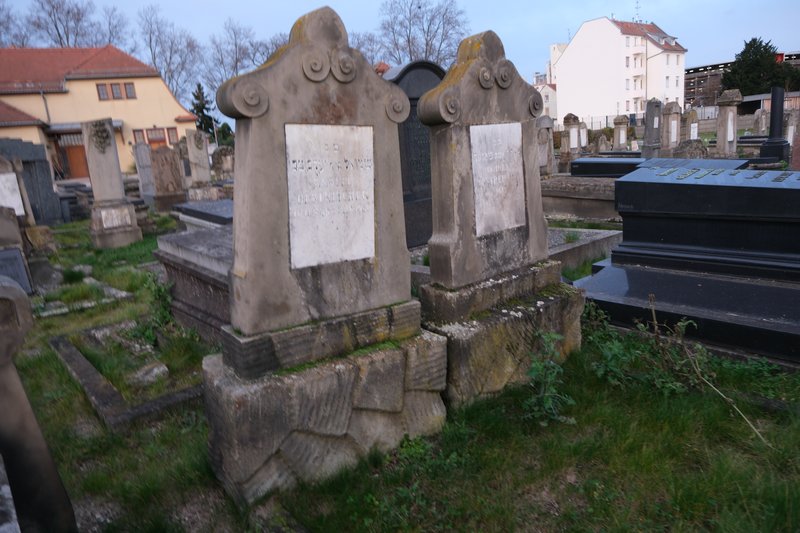 מצבת Oestreicher Samuel