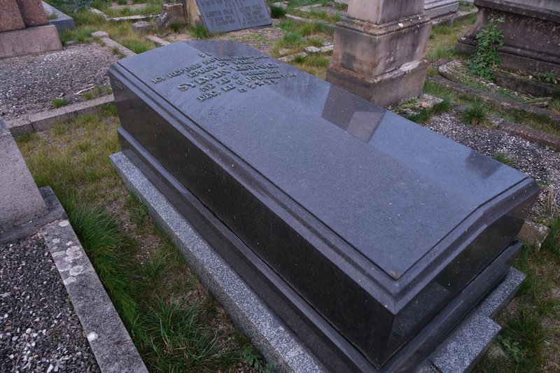 Stèle de Léopold Sylvain