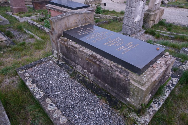 מצבת Cohn Lucie
