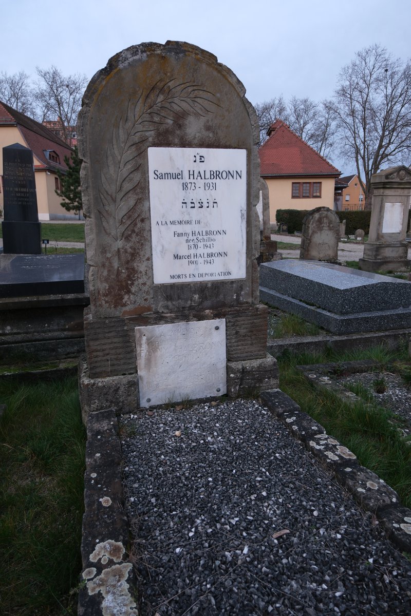 מצבת Halbronn Samuel