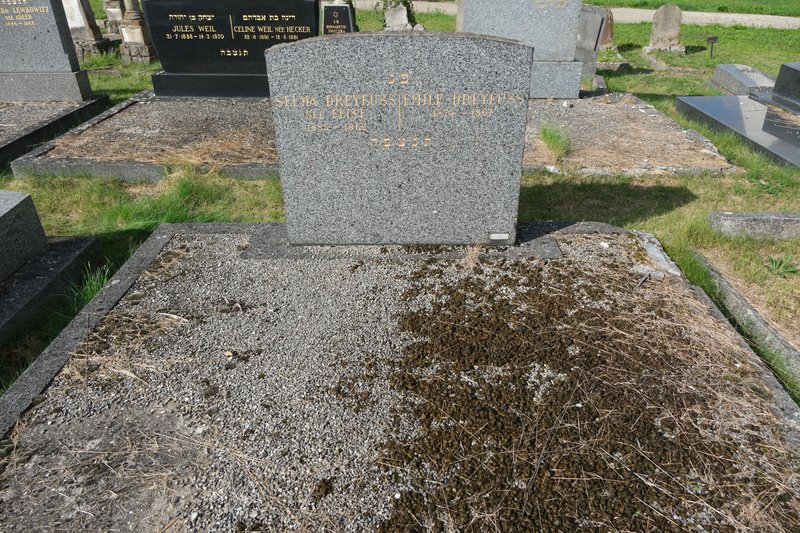 מַצֵּבה פון Dreyfus Emile