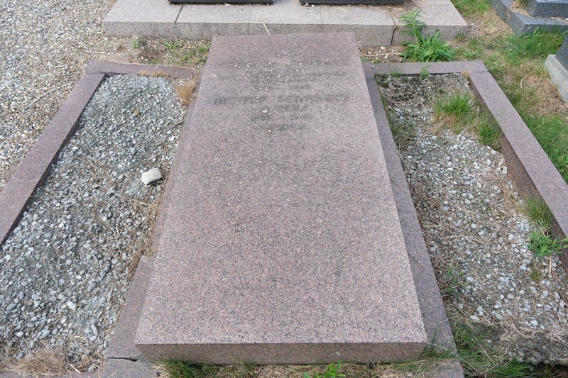 Grabstein von Schwartz Fernand