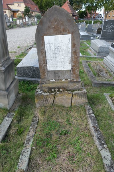 Ginsberg David 的墓碑