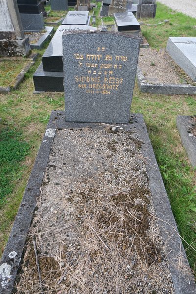 Grabstein von Reisz Sidonia