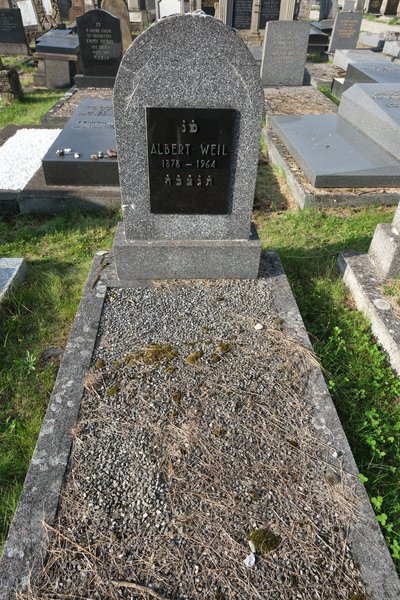 Estela de Weil Albert