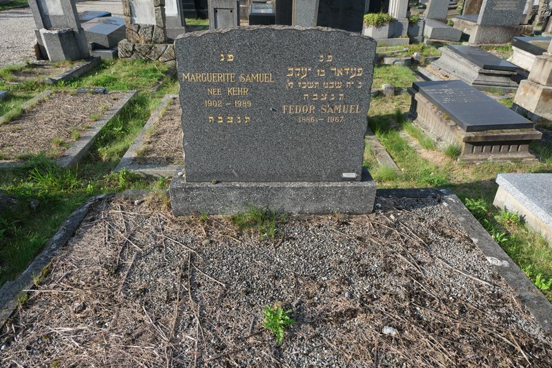מצבת Samuel Fédor