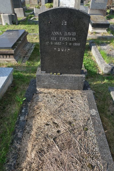 Stèle de David Anna