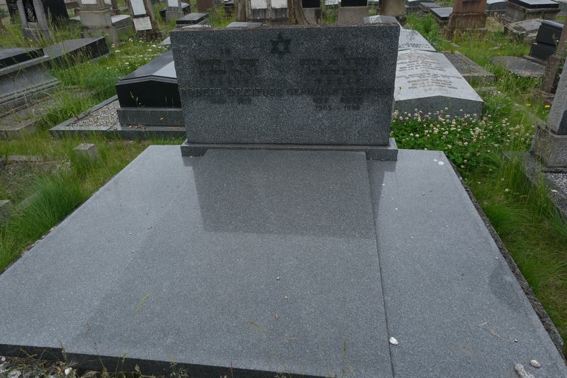 Stèle de Dreyfuss Robert