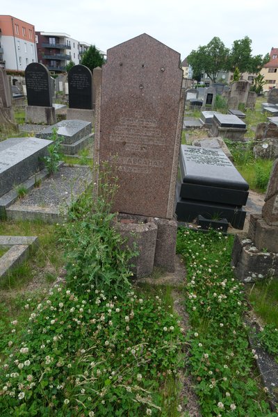 شاهدة قبر Abraham Louis