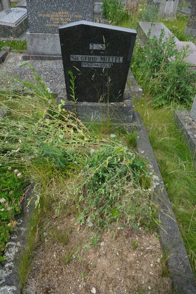 Stèle de Mittel Siegfried