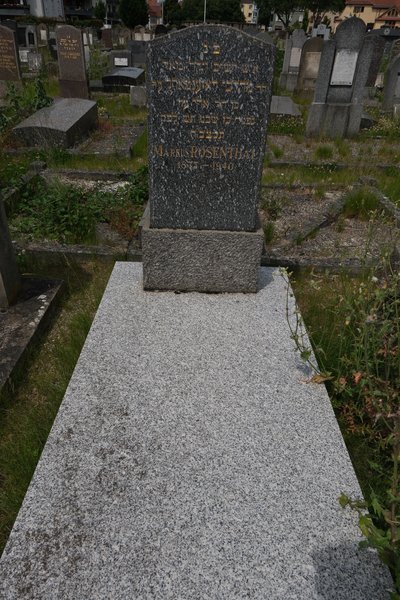 מַצֵּבה פון Rosenthal Marcus