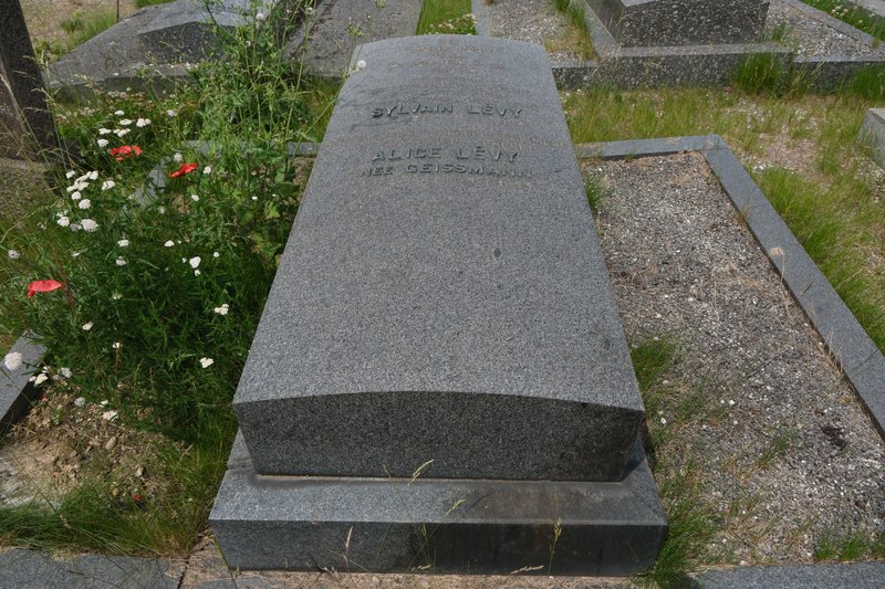 Grafsteen van Levy Alice