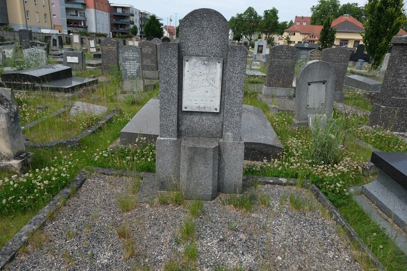 Estela de Weil Jules