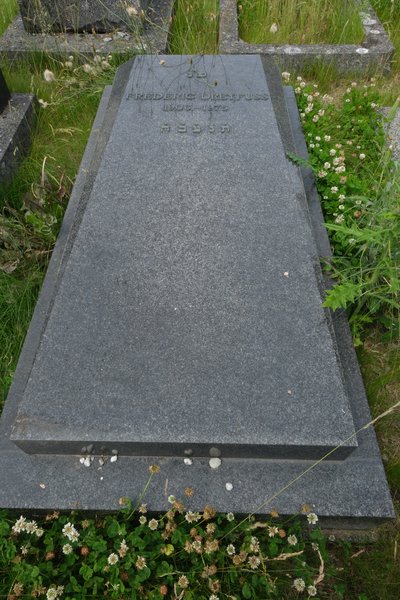 Grabstein von Dreyfuss Frédéric