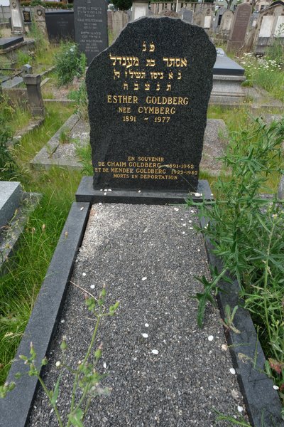 Grabstein von Goldberg Esther