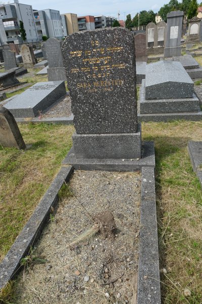 شاهدة قبر Herzstein Sara