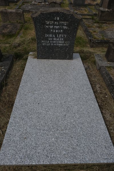 Grafsteen van Levy Dora