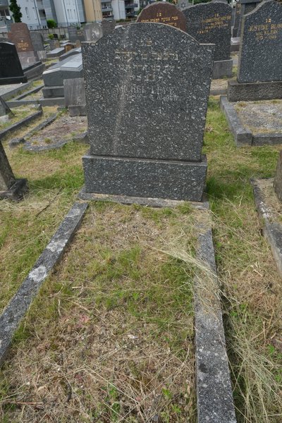 Levy Michel fejfája