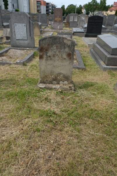 Estela de Levy Frieda