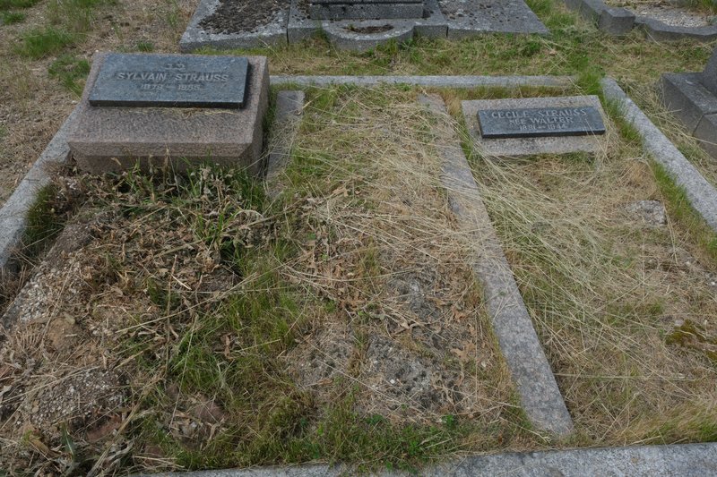Strauss Sylvain fejfája