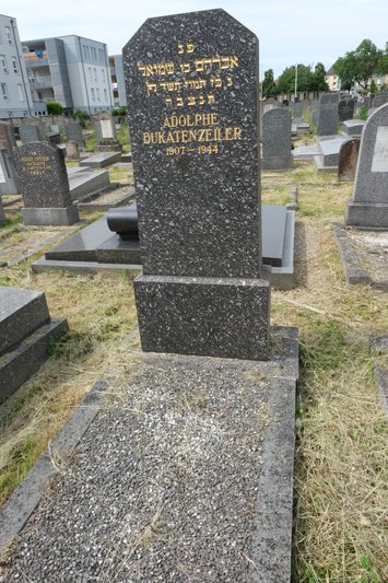 מצבת Dukatenzeiler Adolphe