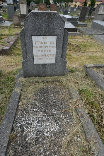 Grafsteen van Rosenzweig Nathan