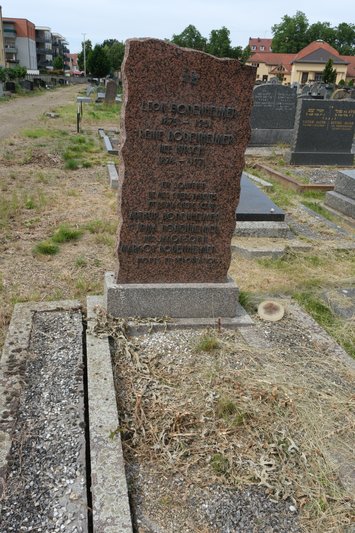 Bodenheimer Léon fejfája