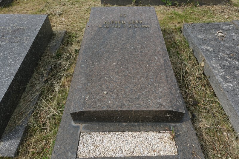 Lápide de Levy Alfred