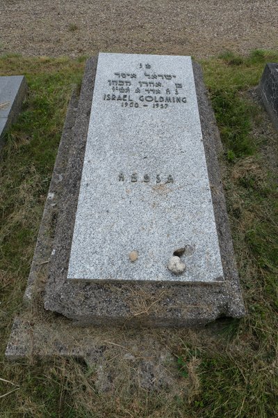 Tombstone of Goldming Israel