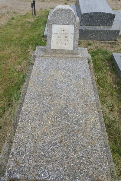 Estela de Tausig André