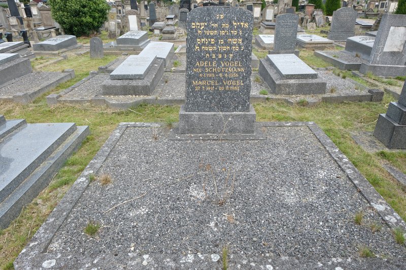 מצבת Vogel Adèle