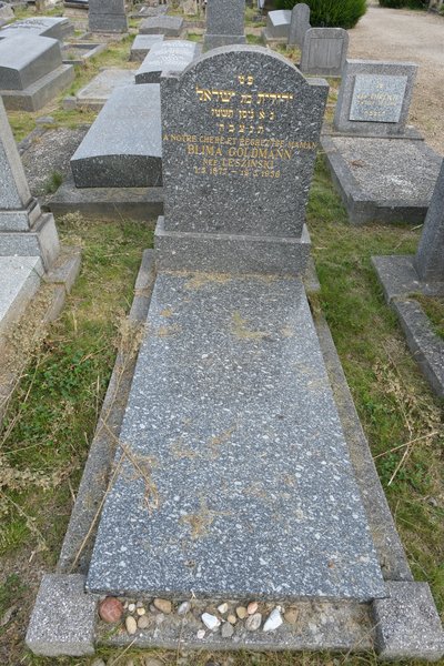 Lápide de Goldmann Blima