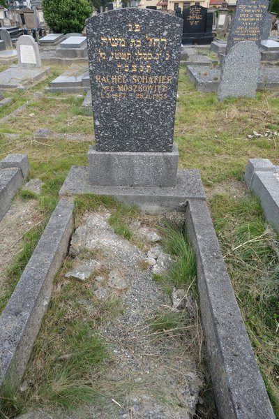 Schafier Rachel fejfája